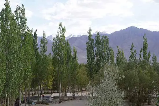 Outside view from the window of the school building